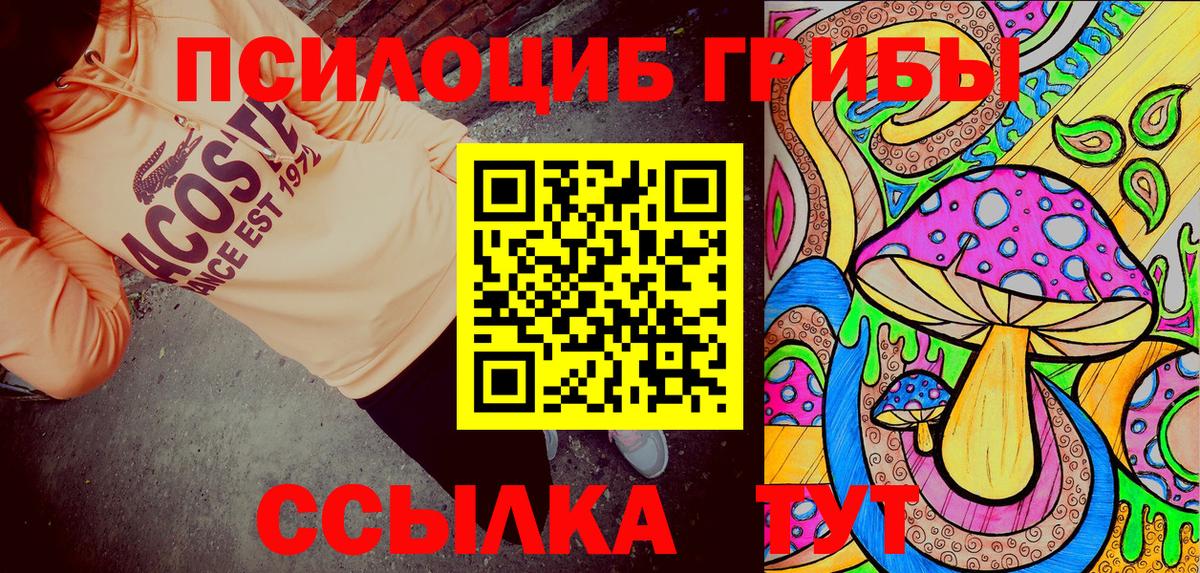 Великий Устюг  Псилоцибиновые грибы MAGIC MUSHROOMS  Галлюциногенные грибы прущие грибы  Вход с VPN 